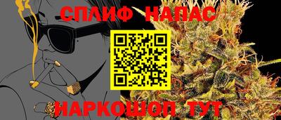 герыч Камышлов