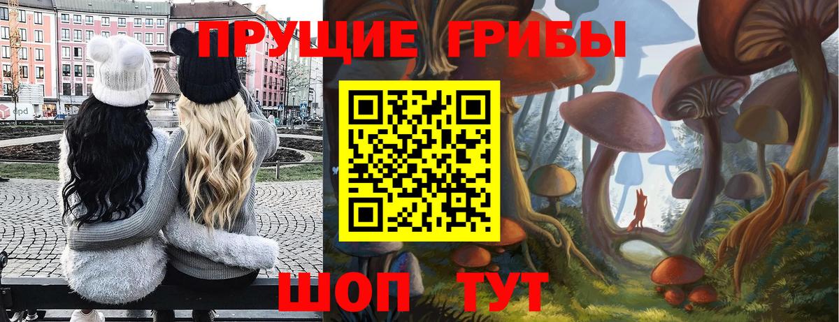 Лесозаводск  Псилоцибиновые грибы MAGIC MUSHROOMS  Вход с VPN  хочу   Псилоцибиновые грибы Psilocybe 